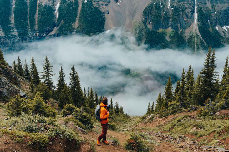 Experiment with new choices and responses in your everyday life.